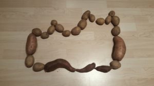 Die Elbphilharmonie in günstig